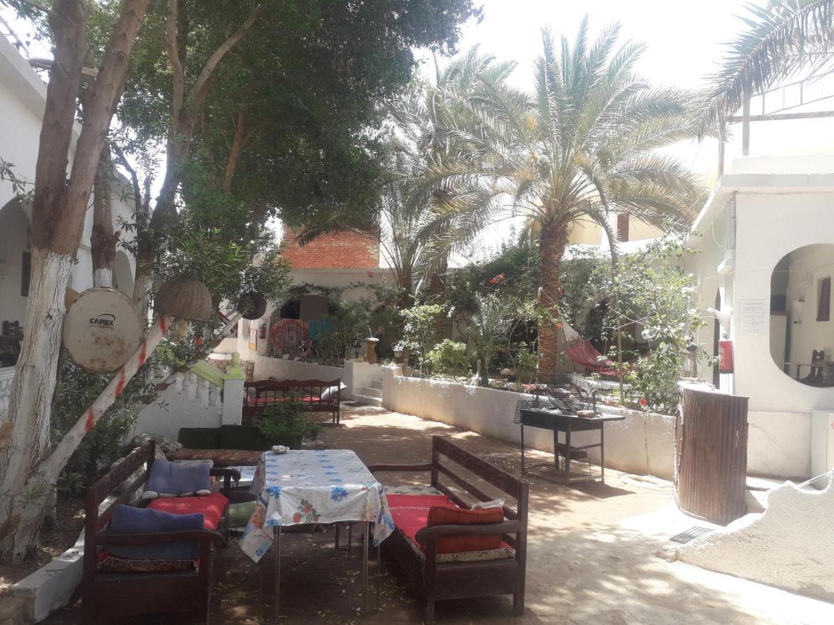 Fighting Kangaroo Camp Hotel Дахаб Екстериор снимка