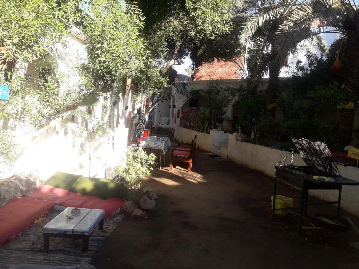 Fighting Kangaroo Camp Hotel Дахаб Екстериор снимка