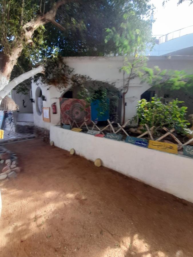Fighting Kangaroo Camp Hotel Дахаб Екстериор снимка