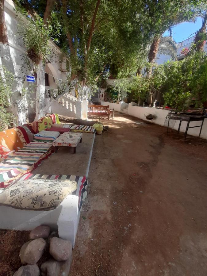 Fighting Kangaroo Camp Hotel Дахаб Екстериор снимка