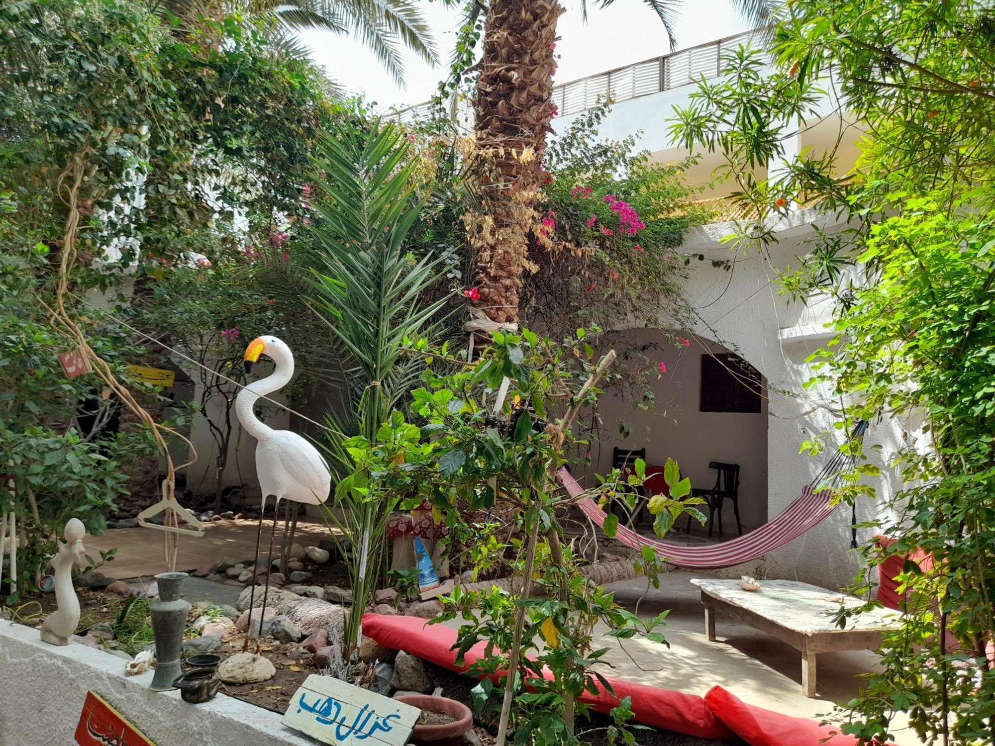 Fighting Kangaroo Camp Hotel Дахаб Екстериор снимка